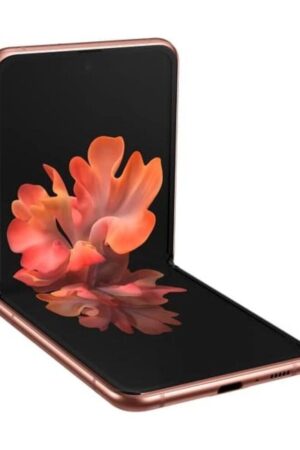 Galaxy Z Flip 5G Reparatur